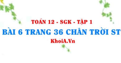 Bài 6 trang 36 Toán 12 Tập 1 Chân trời sáng tạo